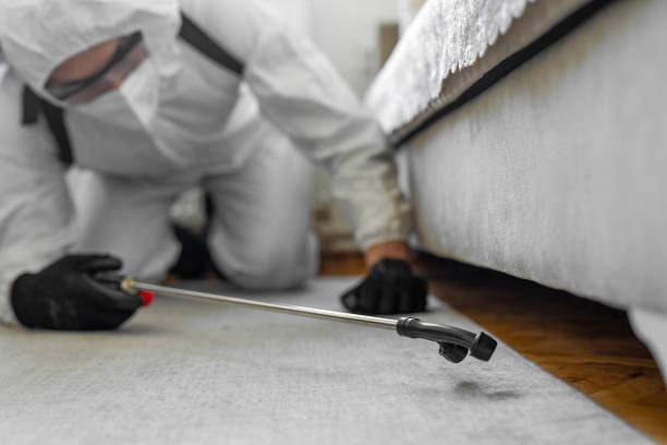 Professional Mosquito Control technician working in Rossmoor, CA