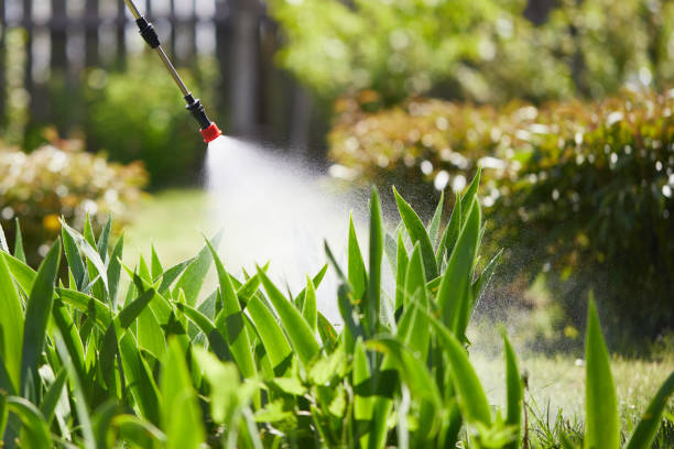 24/7 Emergency Mosquito Control experts in Rossmoor, CA