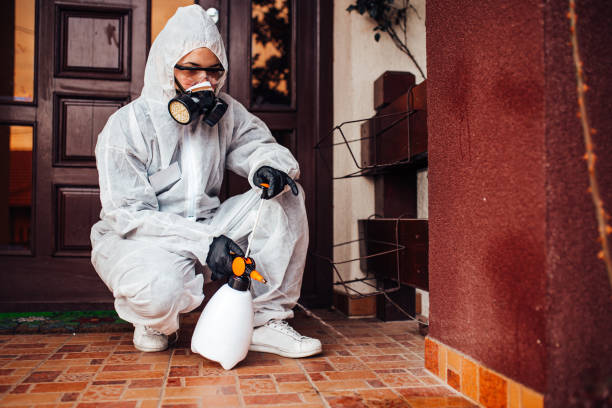 Reliable Mosquito Control contractor in Rossmoor, CA by Nex Pest Control